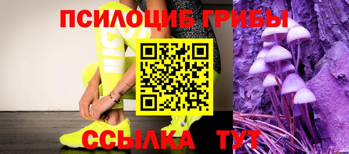 Галлюциногенные грибы прущие грибы  Вход с VPN  Советск 